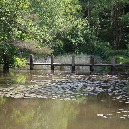 Sauviat-sur-Vige Spruce Lake المظهر الخارجي الصورة