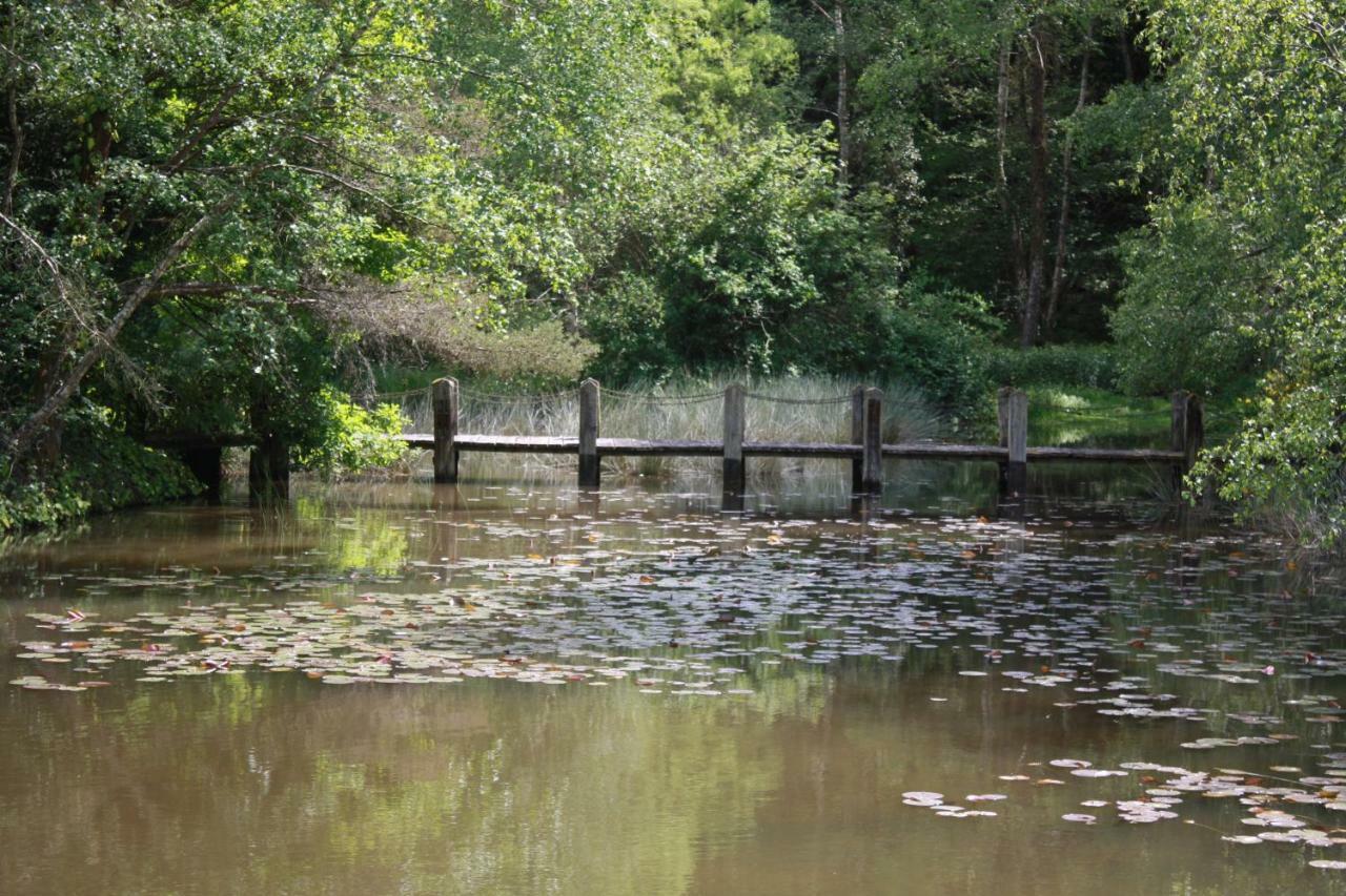 Sauviat-sur-Vige Spruce Lake المظهر الخارجي الصورة