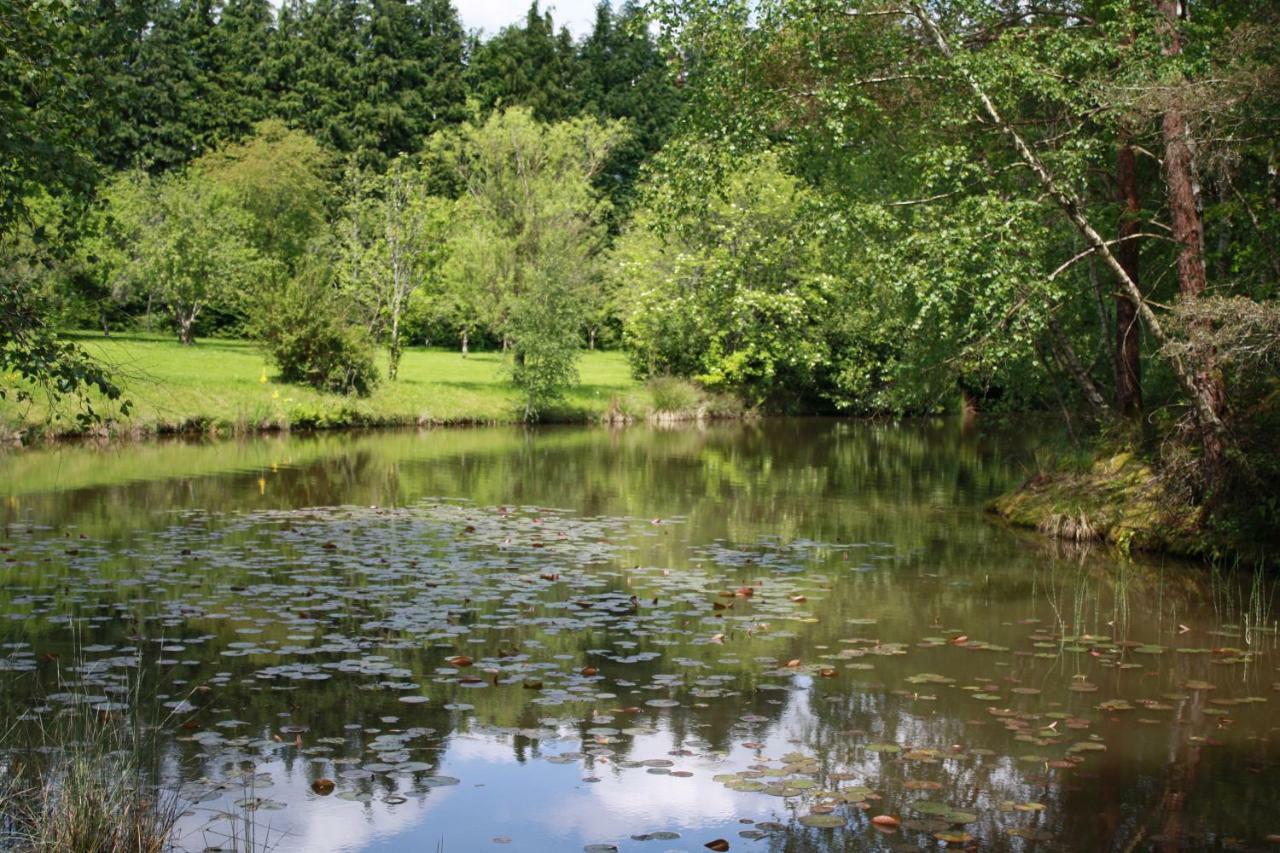 Sauviat-sur-Vige Spruce Lake المظهر الخارجي الصورة