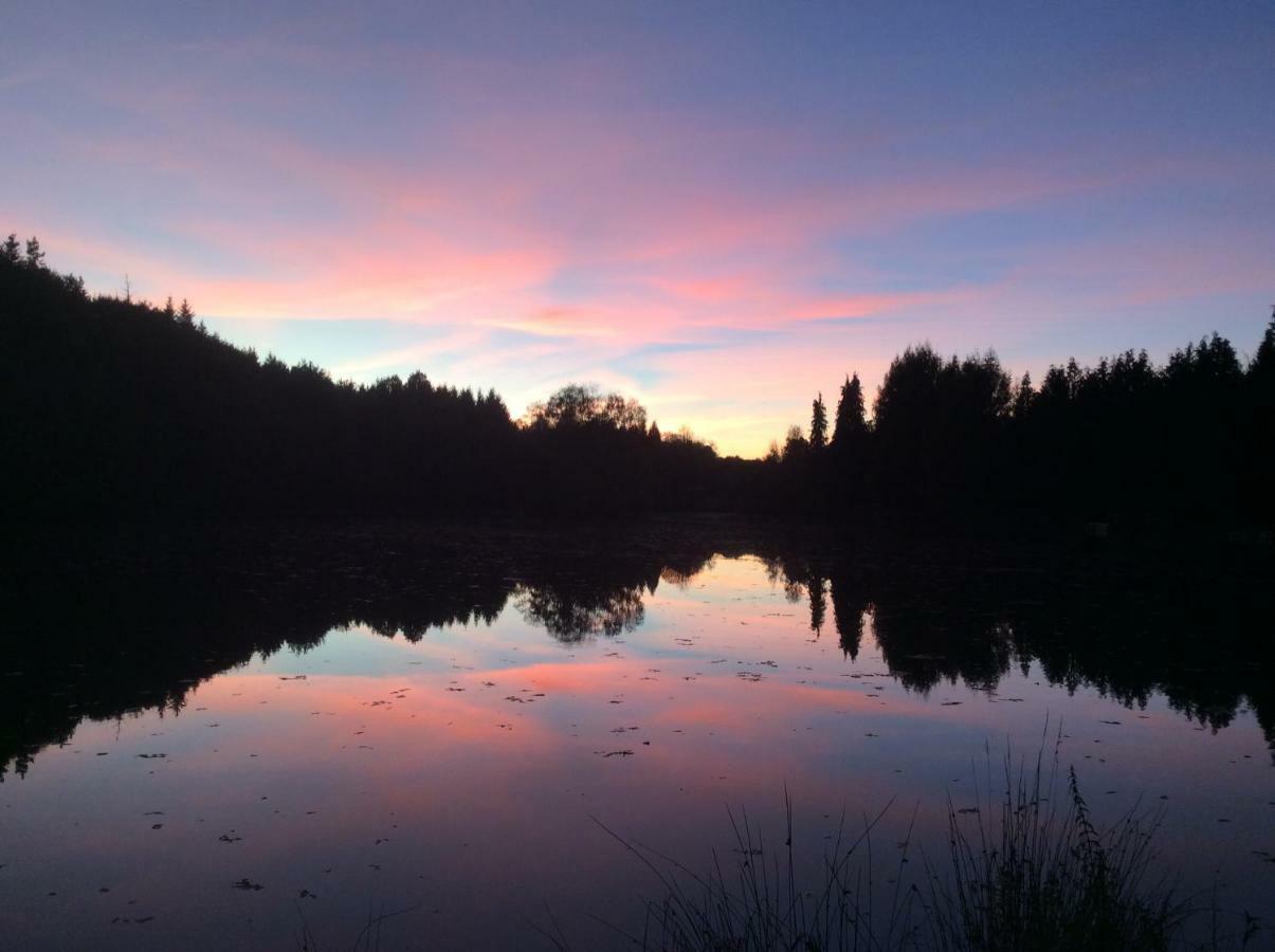 Sauviat-sur-Vige Spruce Lake المظهر الخارجي الصورة