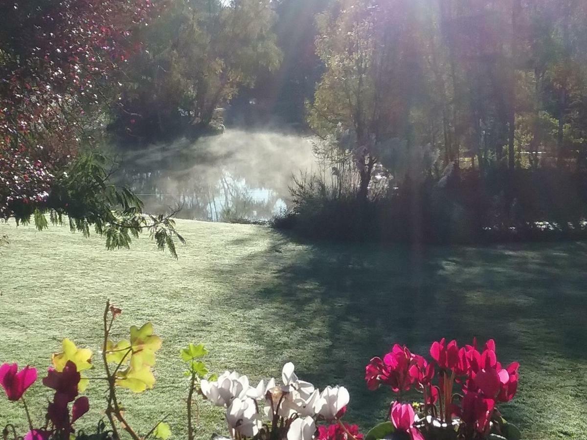 Sauviat-sur-Vige Spruce Lake المظهر الخارجي الصورة